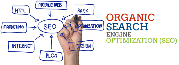 Organic Search Optimization